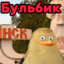 FeDoOoK