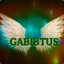 GABIBTUS