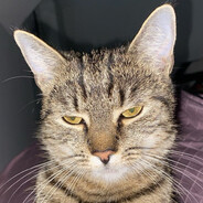 𝕟𝕠𝕨𝕔𝕚𝕦