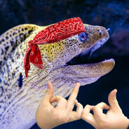 ☾๑ Mentally Eel ๑☽