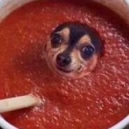 Soup Dogg