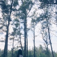 盗号王：13154490888