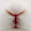 ✪ jeanP -iwnl-