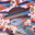 Wups