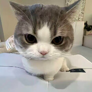 不准叫我小橙橙