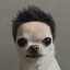 Goniac