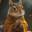 Chipmonk
