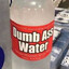 Dumb ass water