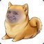 Dog__Man