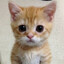 Spixy