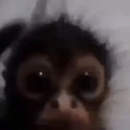 monke