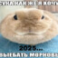 Вайбмен