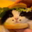 Kitburger