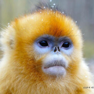 谁tm盗我号了！