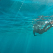 我最爱抽红南京