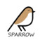 Sparrow