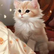 陰陰濕濕有得執