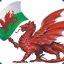 Welsh_Saint