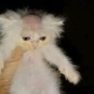 二个顶俩斤斤计较