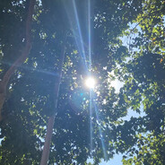 怎么能骂我呢 我那么可爱