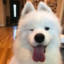 AlmightyFloof