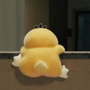 上海深情白羊男