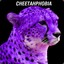 Cheetahphobia