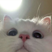 妹妹的B由我来守护