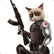 Kot