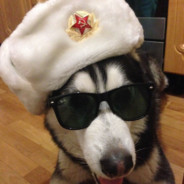 prominecraftplayer123's Steam avatar
