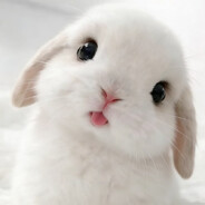 bobakitty