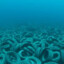 Artificial Tire Reef