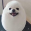 eggdog