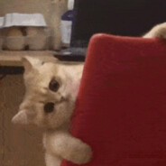 伯乐都说我好马