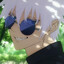 satoru gojo
