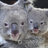석봉이와무식