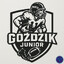 GoźDZIK Junior