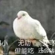 北京第三区交通委