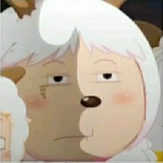 理塘丁真.云龙分真