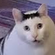 thazzu avatar