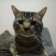 Manwé - steam id 76561198121650802