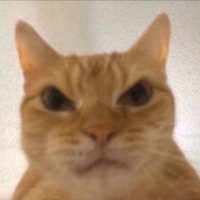 超绝氛围感终极杀手