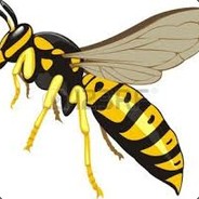 sfexa | kickback.com