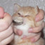 sleepy_soldier