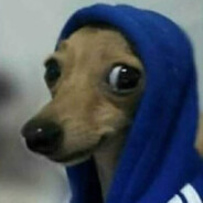 [ 𝐑𝟏𝟎 ] MAGRÃO