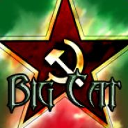 ecgbigcat