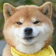 夢の夢は夢を起こさな