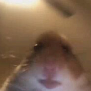 𝖝𝖞𝖒𝖘𝖙𝖊𝖗