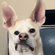 Avatar of M0nkeR