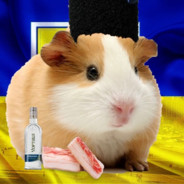 вaгина пингвина